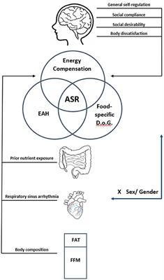 Examining the Role of Food Form on Children's Self-Regulation of Energy Intake